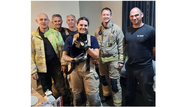 WYFRS Firefighters Face Feline Fiasco