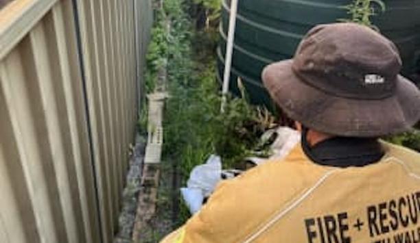 FRNSW Captures Venomous Snake In Sydney Suburb