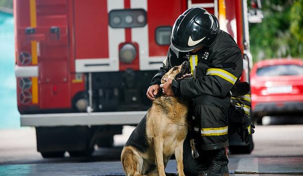 Emergency services for sales dogs