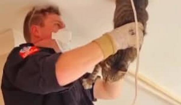 Firefighters Rescue Cat From Roof Cavity In Meadowbank