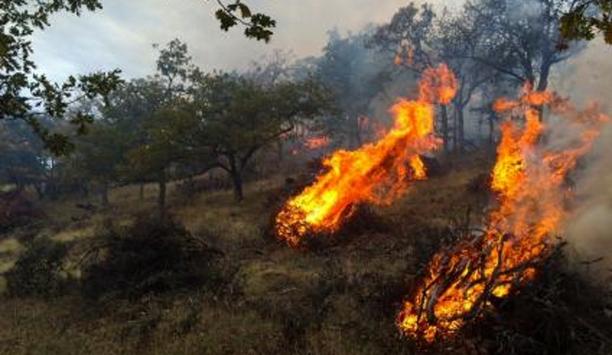Forest Scientists Start Few Fires To Fight The Rest