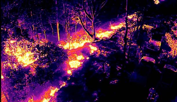 FRNSW Fire Crew's Successful Hazard Reduction In Forster