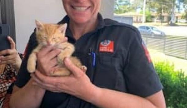 FRNSW Crew Rescues Kitten From Car Dash