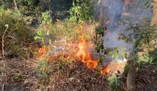 FRNSW Embraces Cultural Practices To Mitigate Bushfire Risk