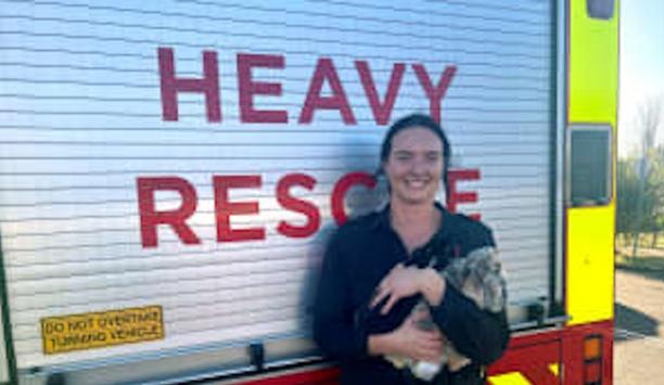 FRNSW Rescues Rabbits From Lithium Battery Fire Incident
