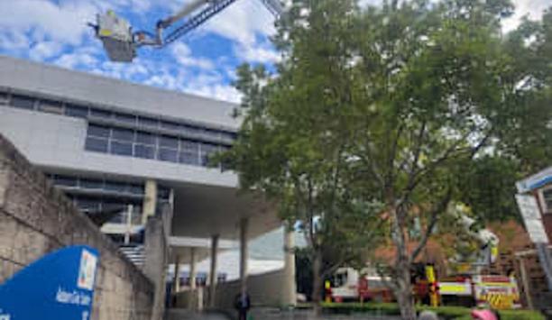 FRNSW Reunites Skittles: Bird Rescue In Sydney