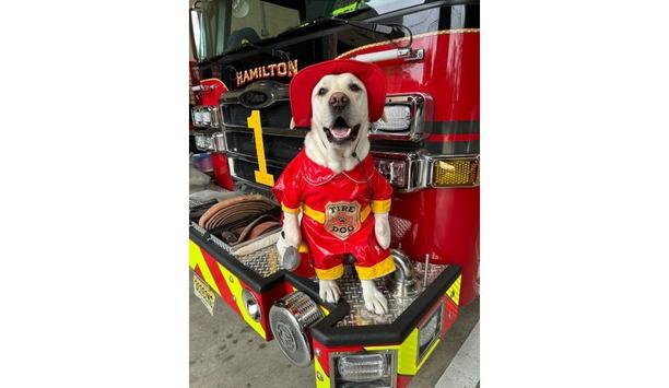 Kidde Announces The Winner Of Its 2023 Fire Service Dog Of The Year Competition