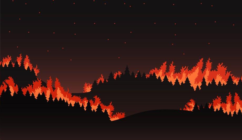 2020 Review: The Destructiveness Of Wildfires, And Looking To The Future
