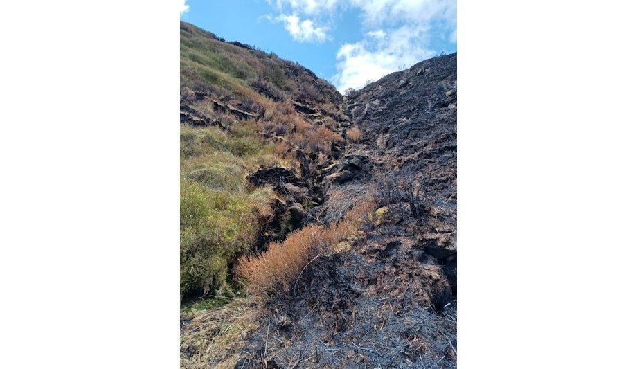 Arson Attacks On Marsden Moor Being Investigated