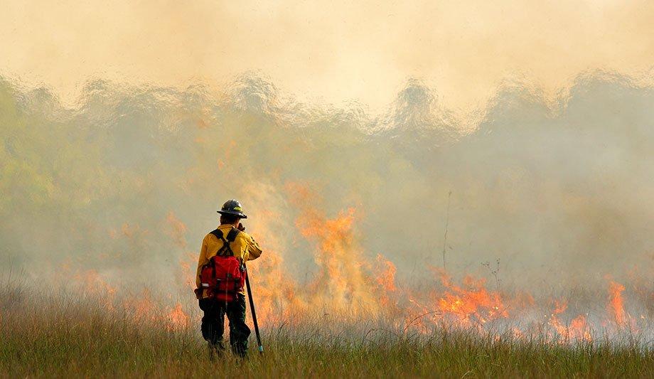 In A Busy Wildfire Season, Researchers Seek New Approaches