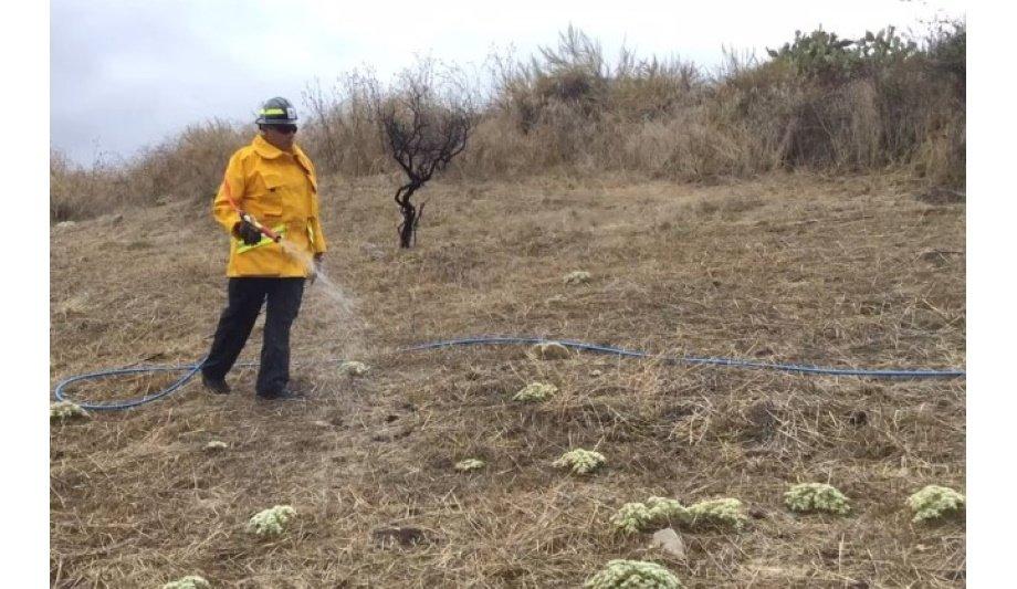 FireClear Highlights The Importance Of Creating Defensible Space Zones And Making Homes More Wildfire Resistant