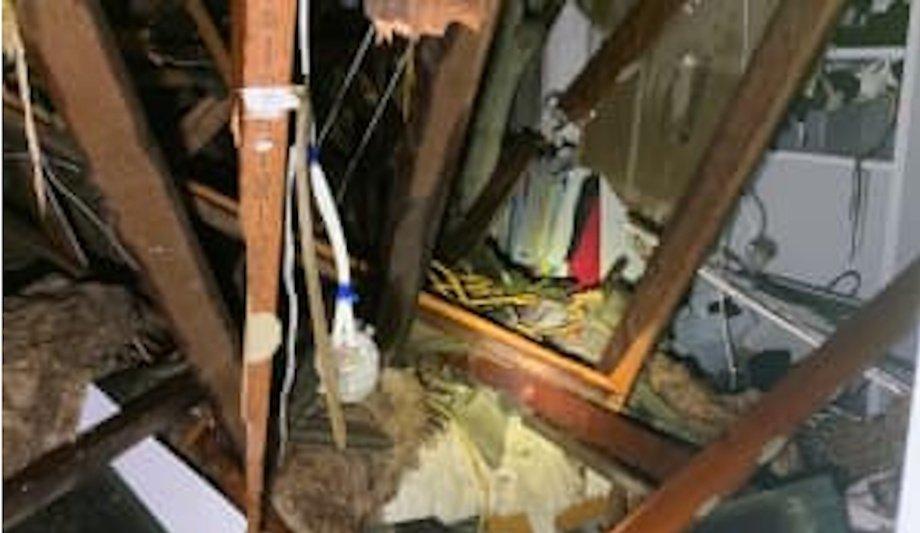 Firefighters Rescue Family From Tree-Crushed Home