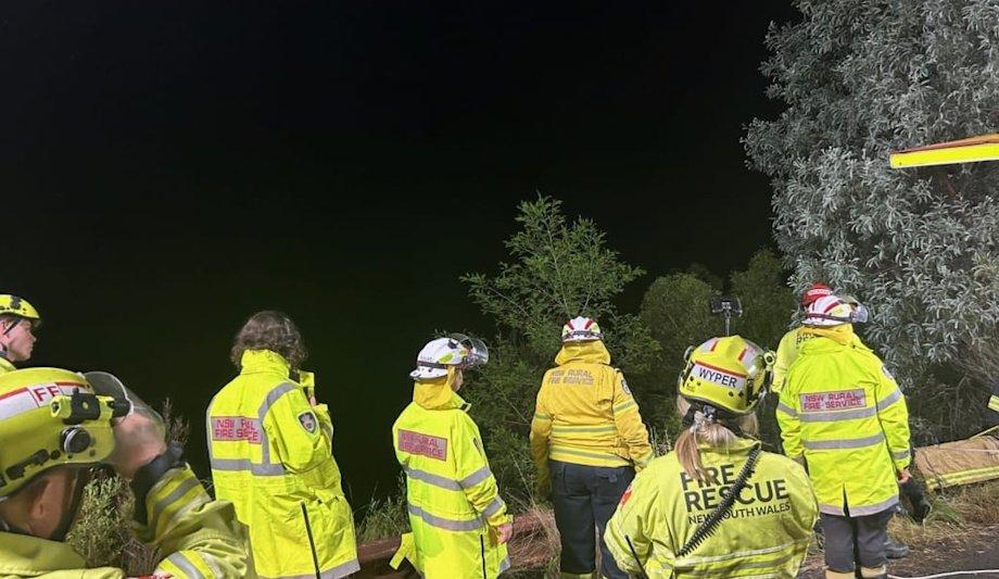 NSW Firefighters Save Dog With Vertical Rescue