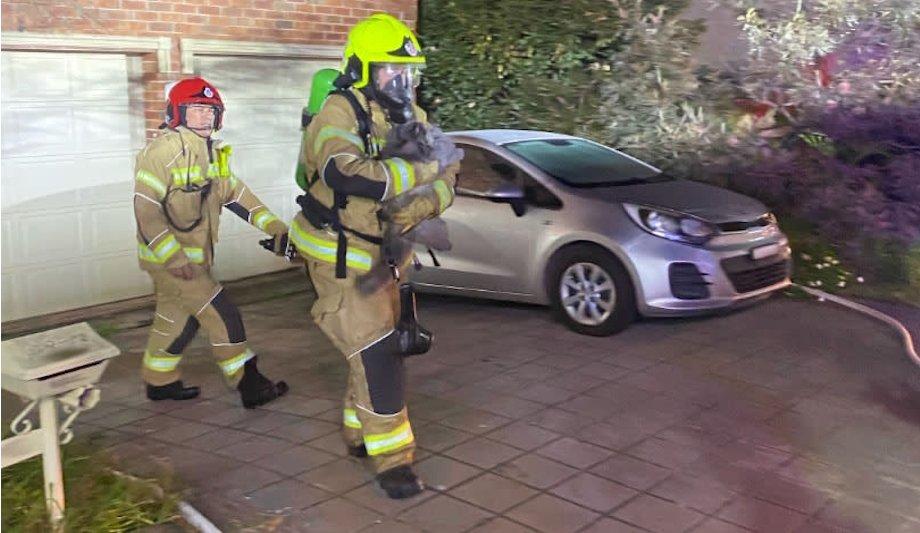 FRNSW Rescues Pet In Kellyville Ridge House Fire