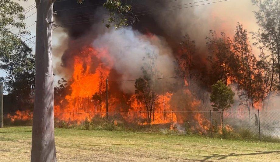 FRNSW Leads Response To Major Sydney Grass Fire