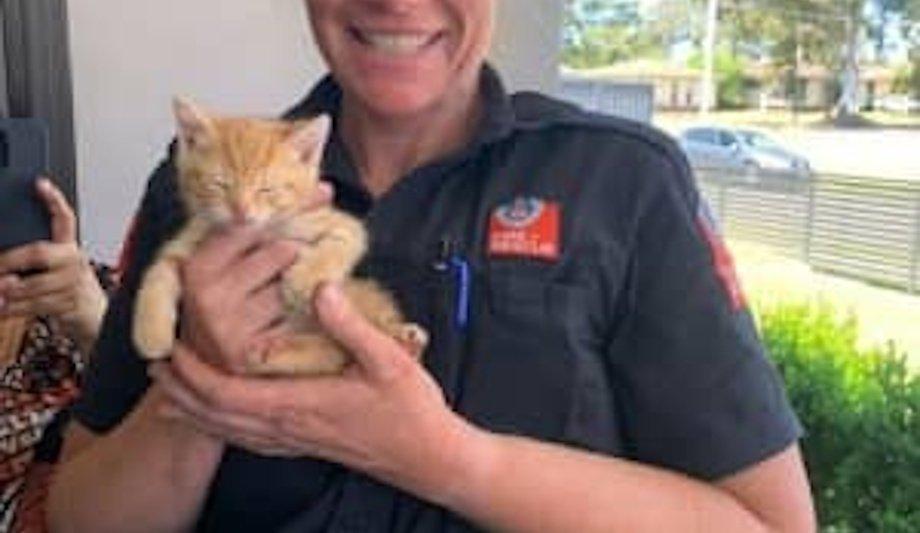 FRNSW Crew Rescues Kitten From Car Dash