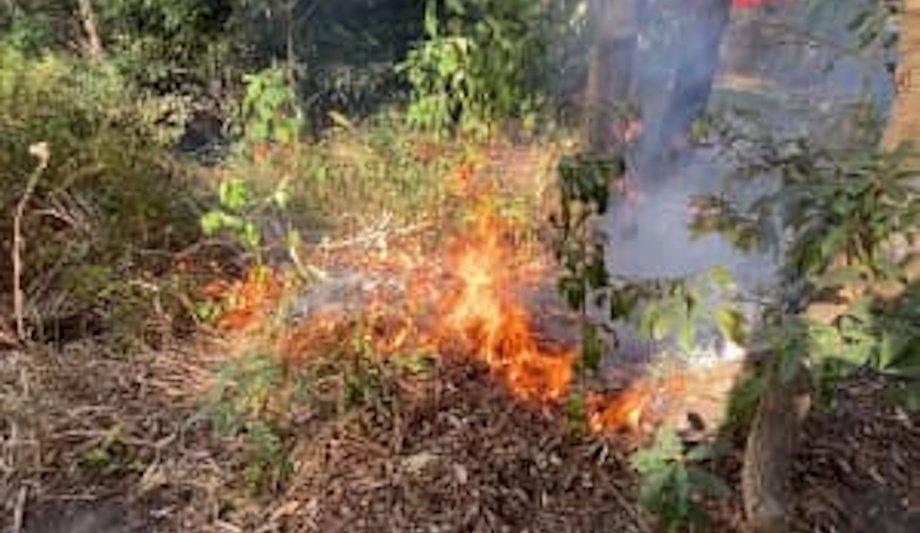 FRNSW Embraces Cultural Practices To Mitigate Bushfire Risk