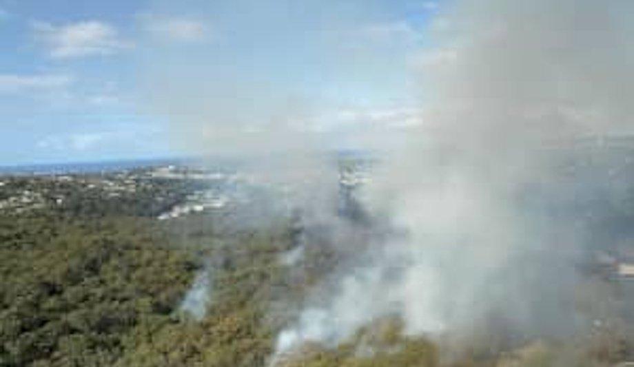 FRNSW Fire Crews Reduce Fuel Loads In Sydney