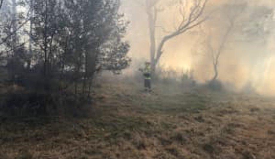 FRNSW Hazard Reduction Burn In Southern Highlands