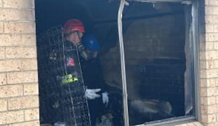 FRNSW Praises Police For Sydney Fire Rescue