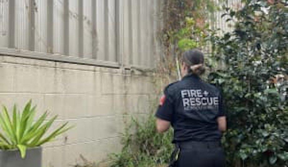 FRNSW Rescues Python In Sydney Snake Snare