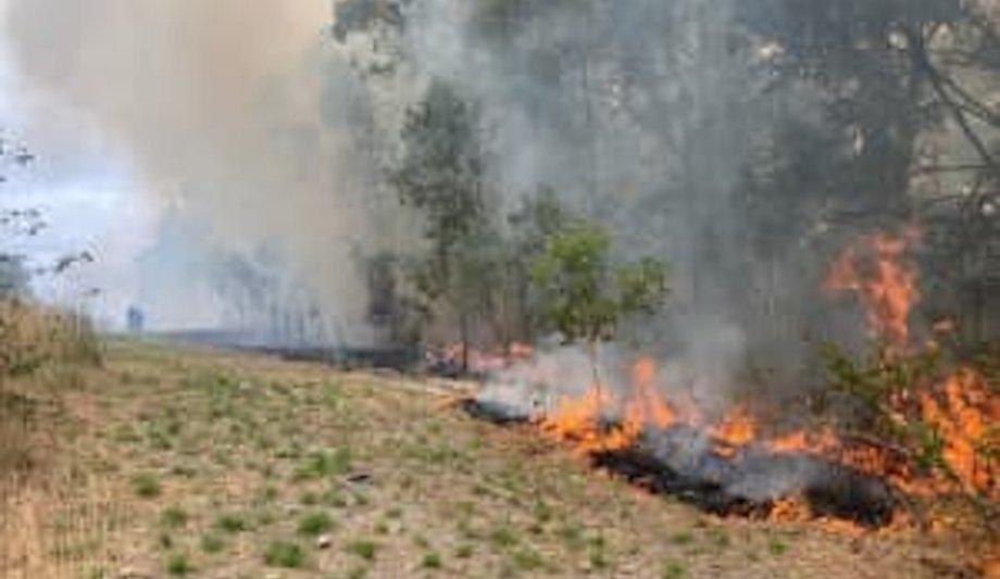 FRNSW's Crucial Hazard Reduction Operations