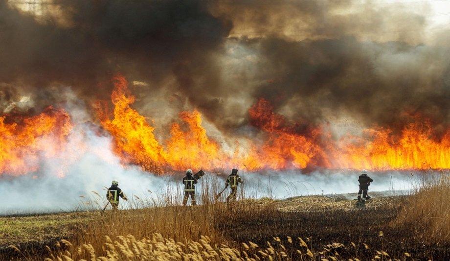 INTERSCHUTZ With Four Focus Topics: Climate Change, Civil Protection, Artificial Intelligence, And Sustainability