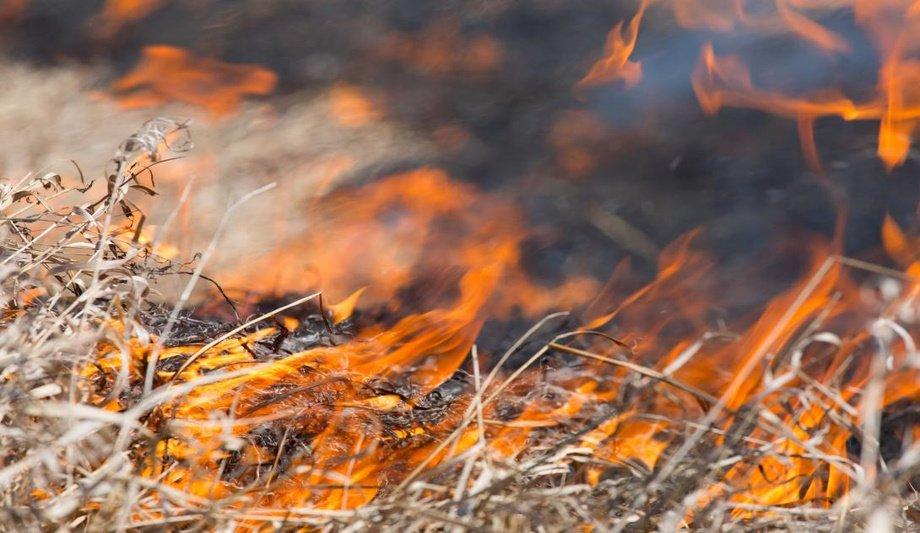 KFRS Issues Heatwave Safety Warning