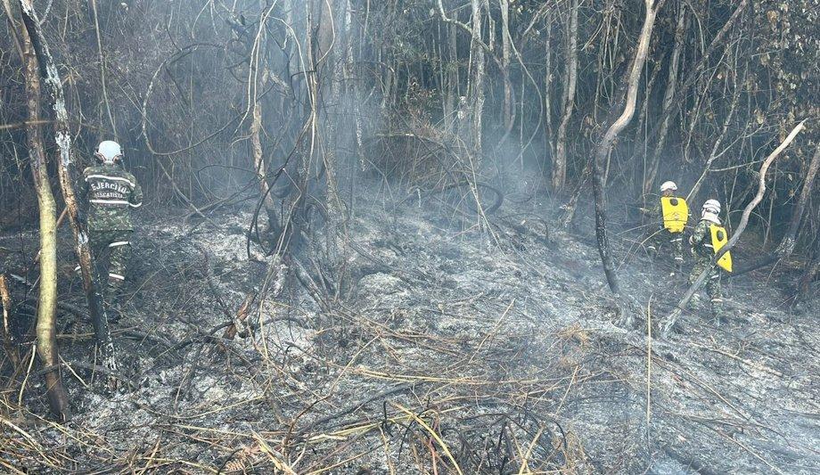 OroraTech's WFS Platform Key To Colombia's Fire Safety