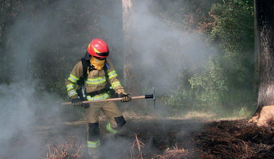 Rosenbauer Makes Contribution To Combating Climate Change And Fighting Wildfires