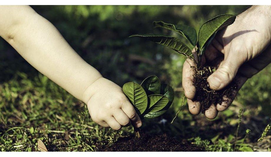 Living Life With Carbon Neutral Fibers: The Next Big Thing In Eco-Lifestyle
