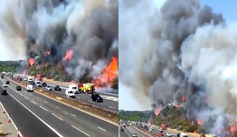 Anglia Fire Protection Explains About Wildfire Prevention