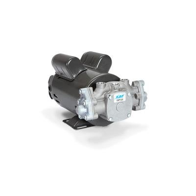 Cat pumps 1XP125.051 1XP Direct Drive Motorized Plunger Pump