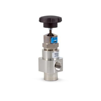 Cat pumps 7361 SS Pressure Regulator