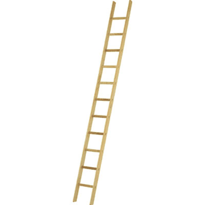 JUST Leitern AG 31-013 rung leaning ladders