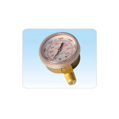 Maanshan Tianrui Industrial Co., Ltd. HM04-11 fire extinguisher manometer