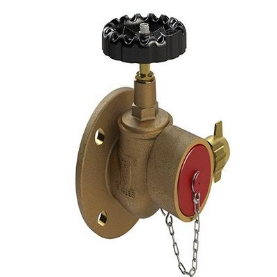 William Eagles P254Hydrant Valve - Horizontal