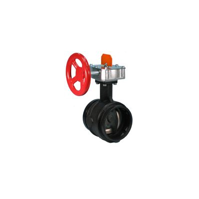 Victaulic 2" Butterfly Valve with Tamper 705 